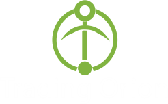 Logo Orionw1